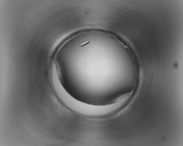 X0000113960925200910162000