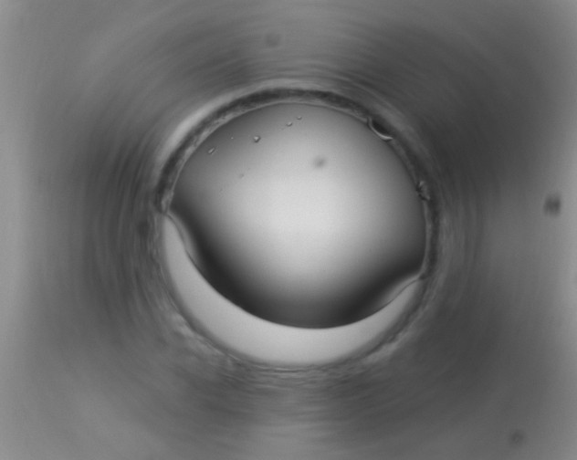 X0000113960926200910162000