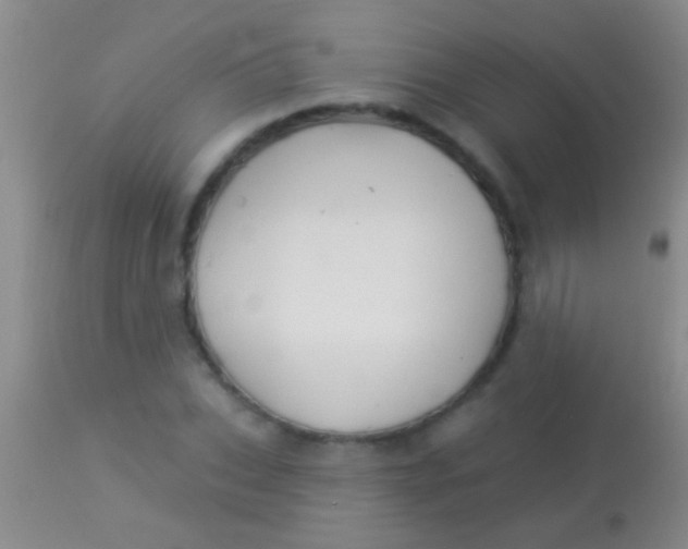 X0000113960927200910162000