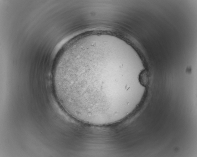 X0000113960928200910162000