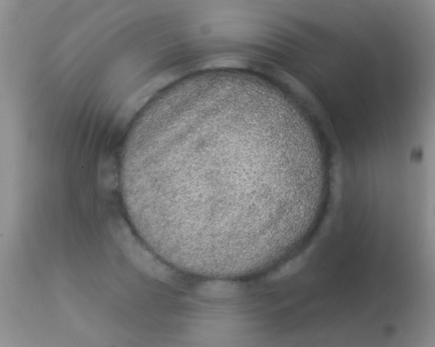 X0000113960929200910162000