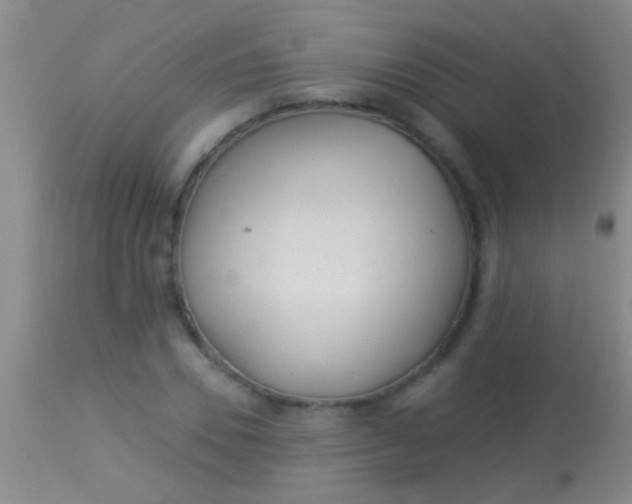 X0000113960930200910162000