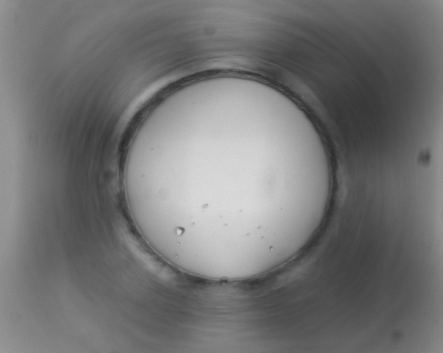 X0000113960931200910162000