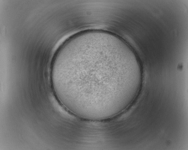 X0000113960932200910162000