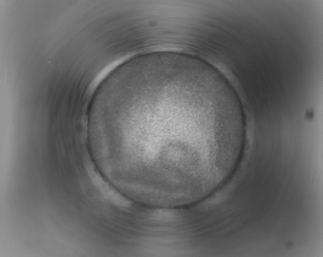 X0000113960933200910162000