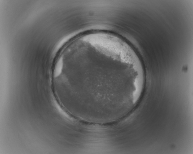 X0000113960935200910162000