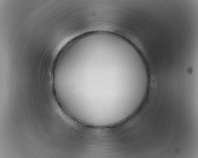 X0000113960936200910162000