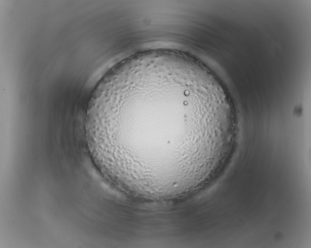 X0000113960937200910162000