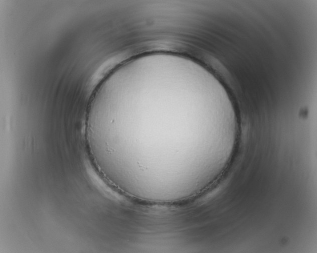 X0000113960938200910162000