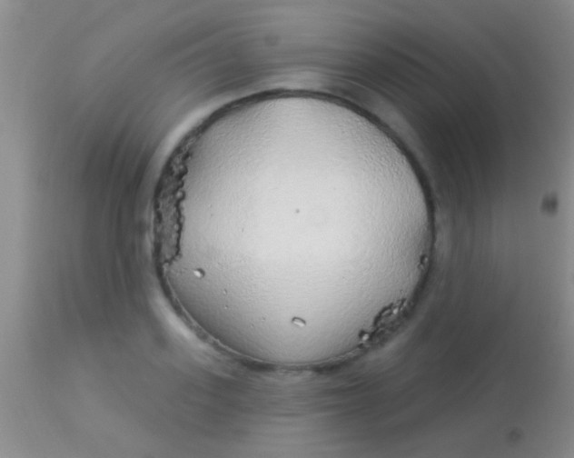 X0000113960939200910162000