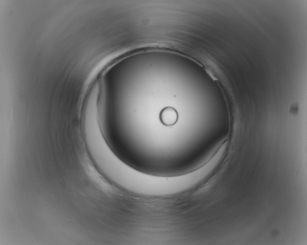 X0000113960940200910162000