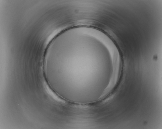 X0000113960941200910162000