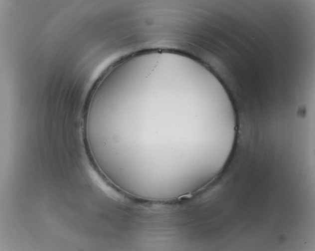 X0000113960942200910162000