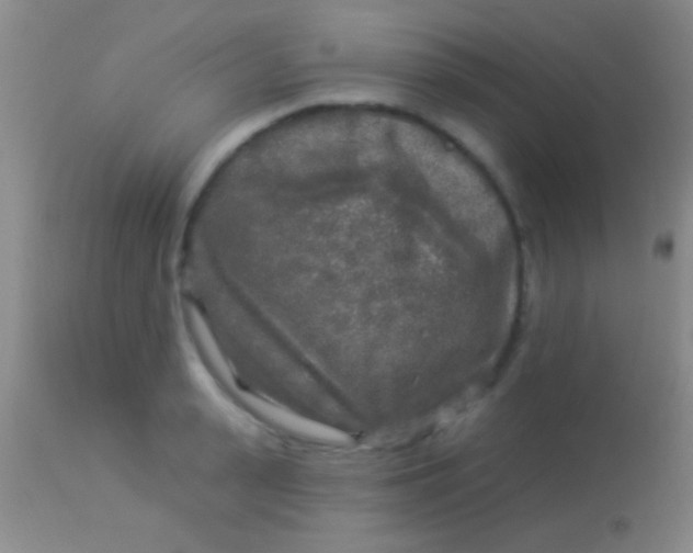 X0000113960943200910162000