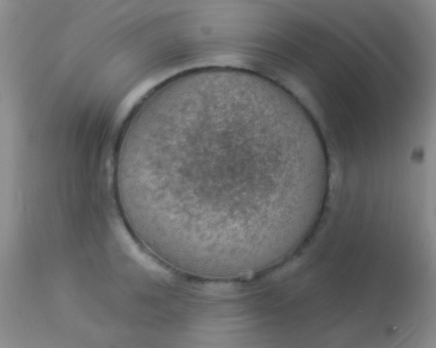 X0000113960944200910162000