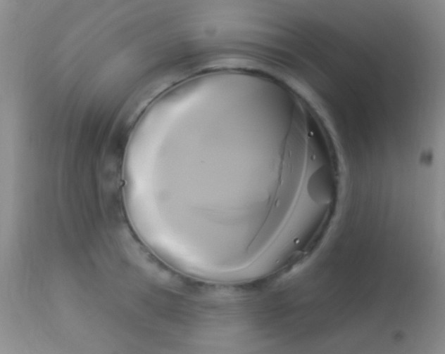 X0000113960945200910162000