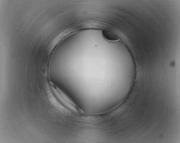 X0000113960946200910162000