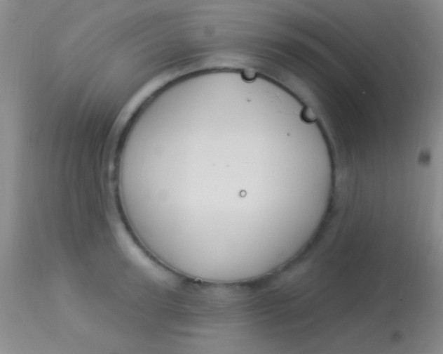 X0000113960947200910162000