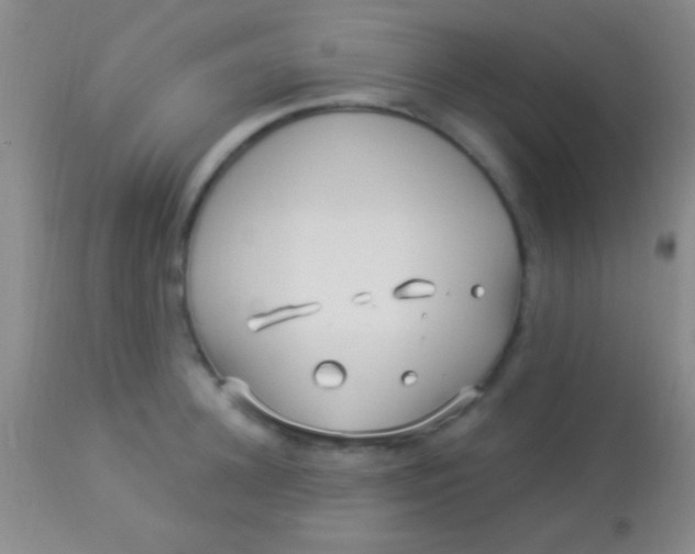 X0000113960948200910162000