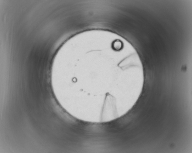 X0000113960950200910162000