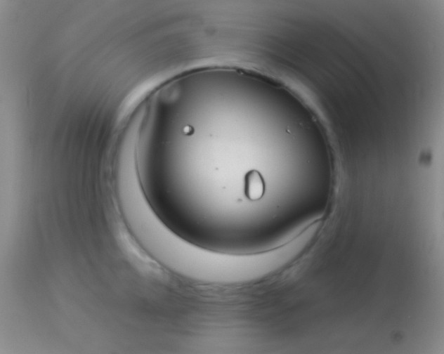 X0000113960952200910162000