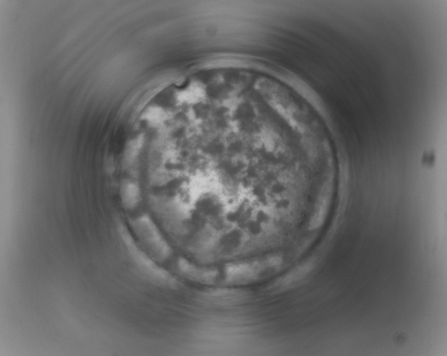 X0000113960953200910162000