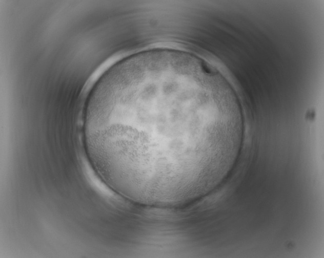 X0000113960955200910162000