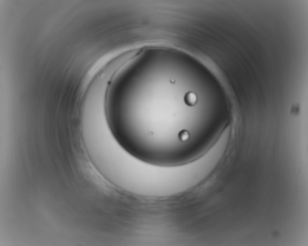 X0000113960956200910162000