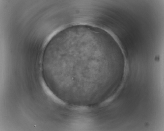 X0000113960957200910162000