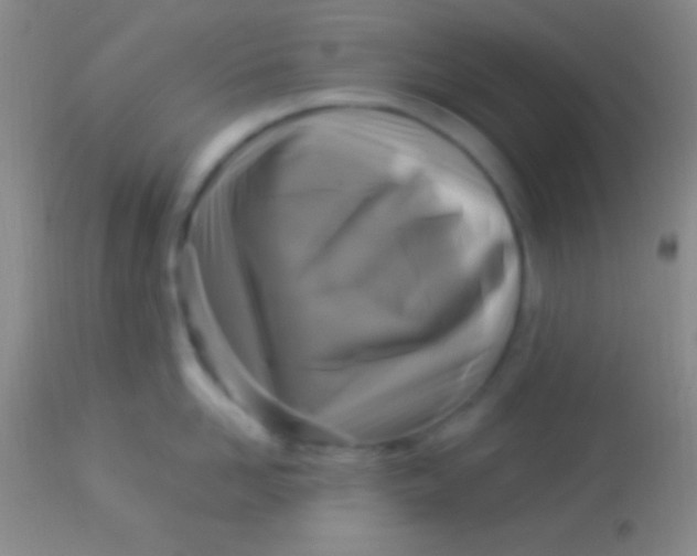 X0000113960958200910162000