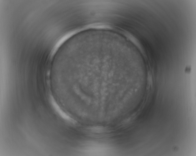 X0000113960959200910162000