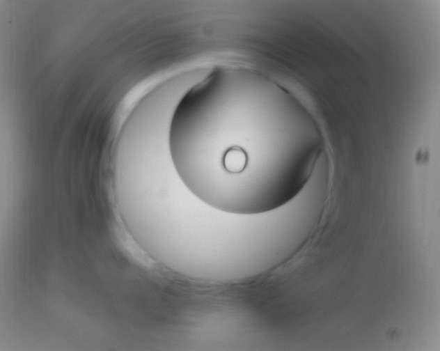 X0000113960960200910162000