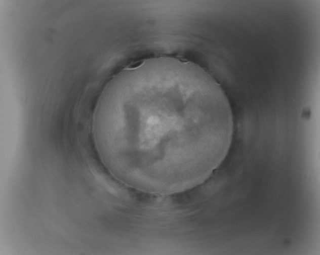 X0000113960961200910161959