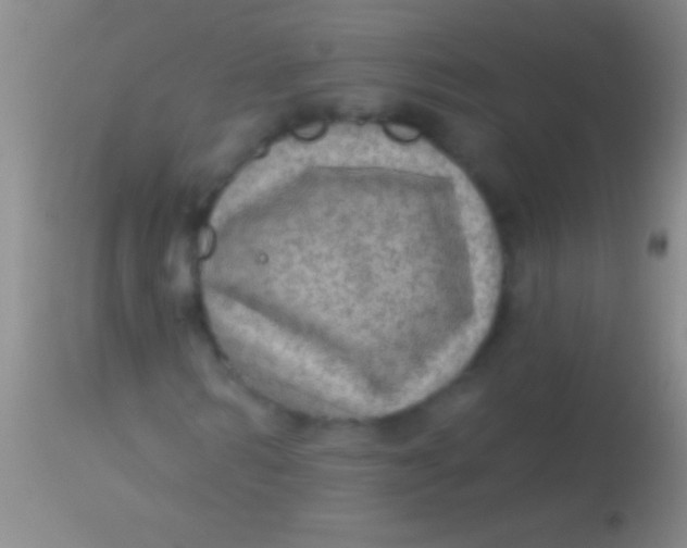 X0000113960962200910161959