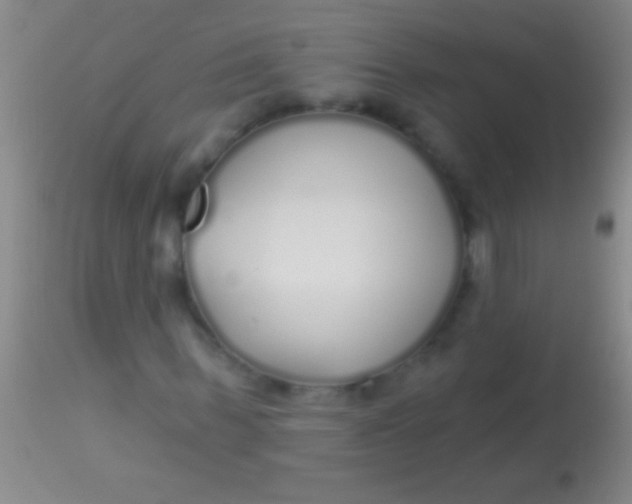 X0000113960963200910161959