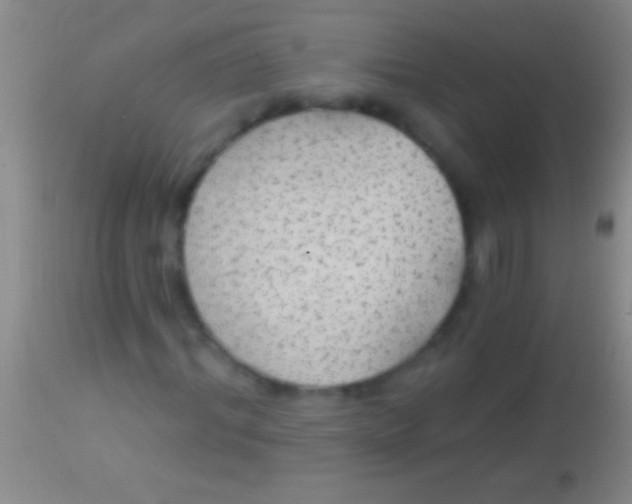 X0000113960964200910161959