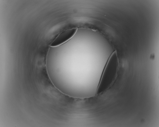 X0000113960965200910161959