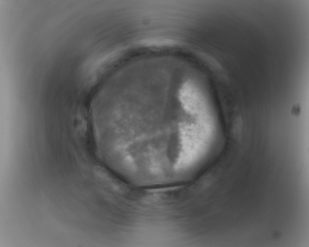 X0000113960966200910161959