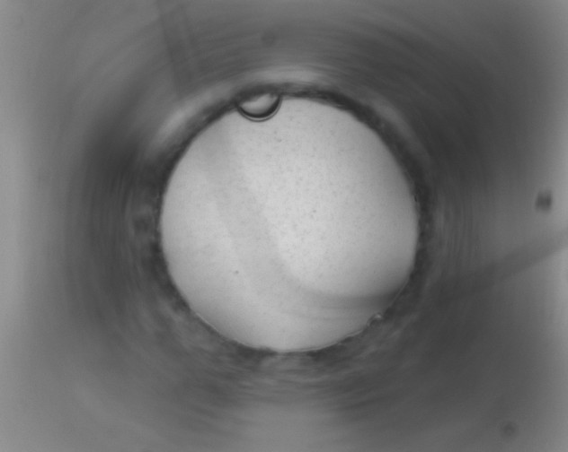 X0000113960967200910161959