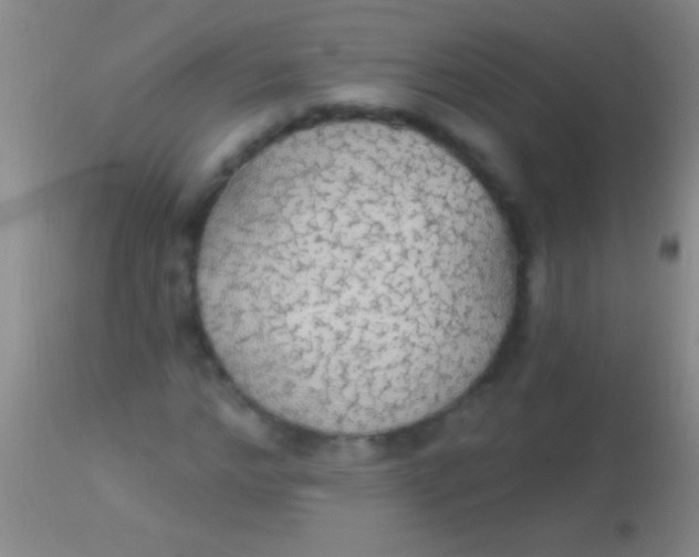 X0000113960968200910161959