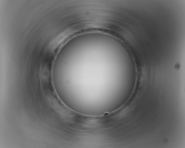 X0000113960969200910161959