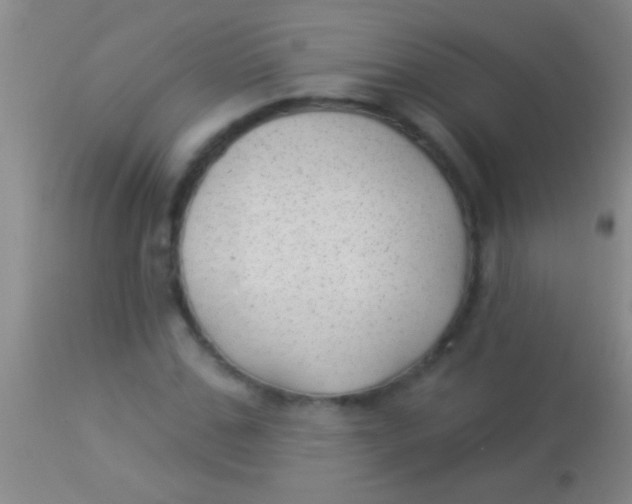 X0000113960971200910161959