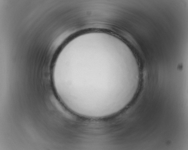 X0000113960972200910161959