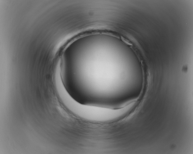 X0000113960973200910161959