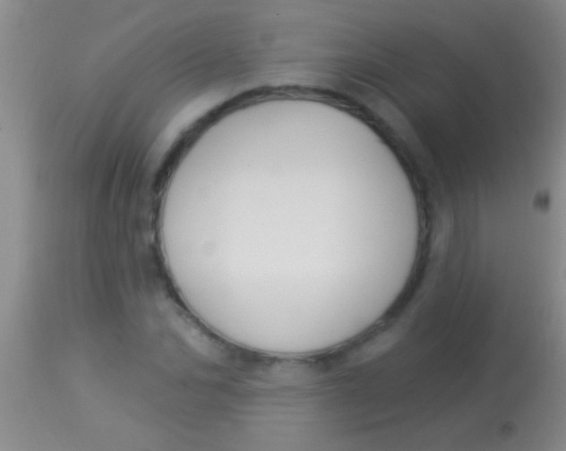 X0000113960974200910161959