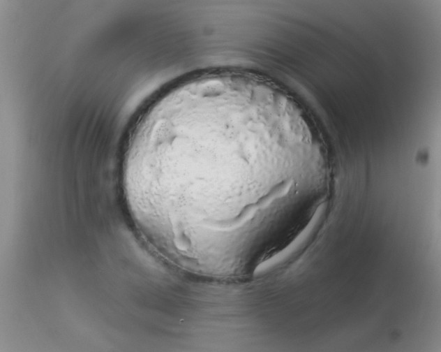 X0000113960975200910161959