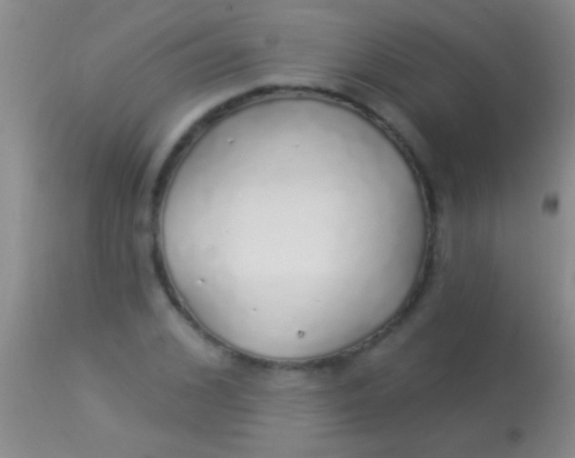 X0000113960976200910161959