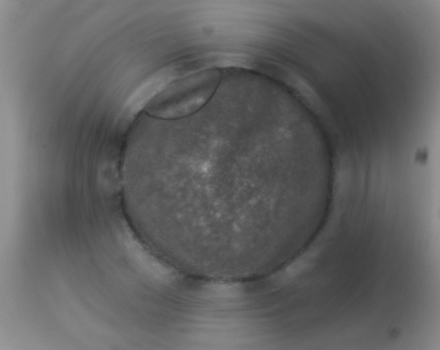 X0000113960977200910161959