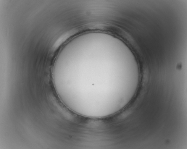 X0000113960978200910161959