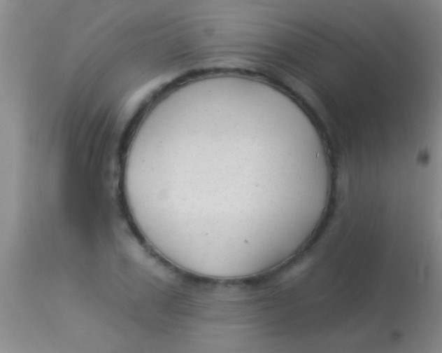 X0000113960979200910161959